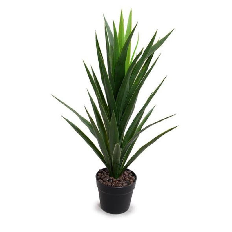 Yucca Plant in Round Pot, 30″H