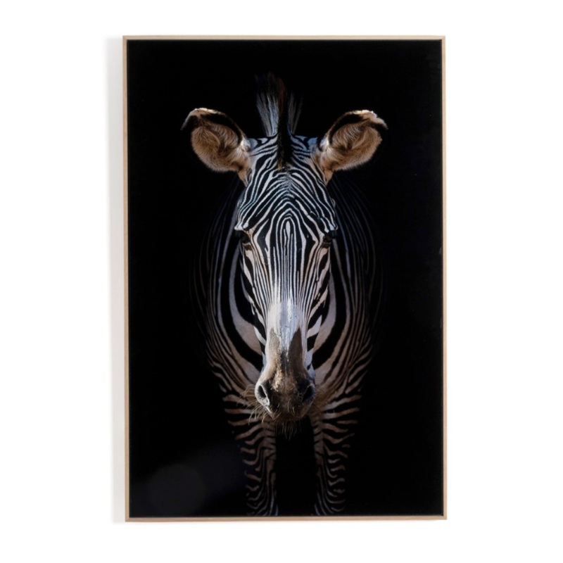 Zebra Stare By Getty Images – 32″x48″