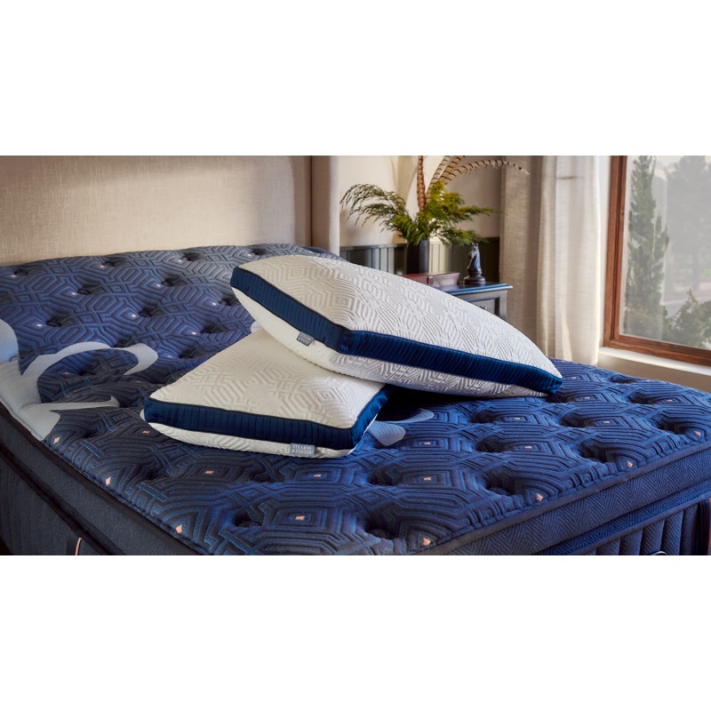 2022 S&F Down Blend & Latex Pillow – Queen